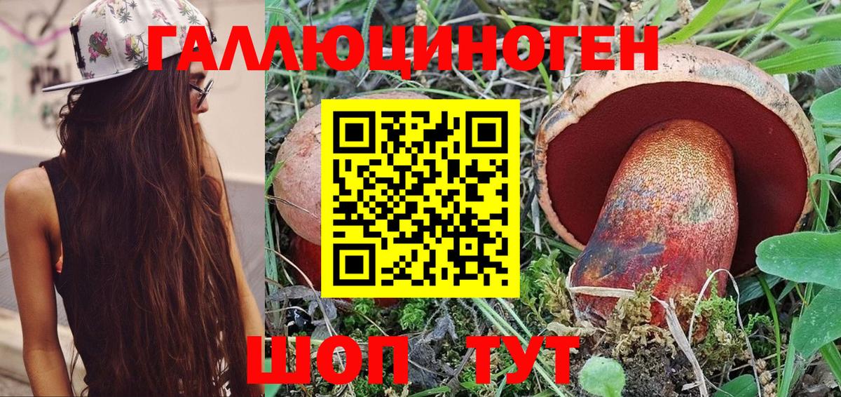 Псилоцибиновые грибы Psilocybe  Галлюциногенные грибы ЛСД  Вход с VPN  Камышлов 