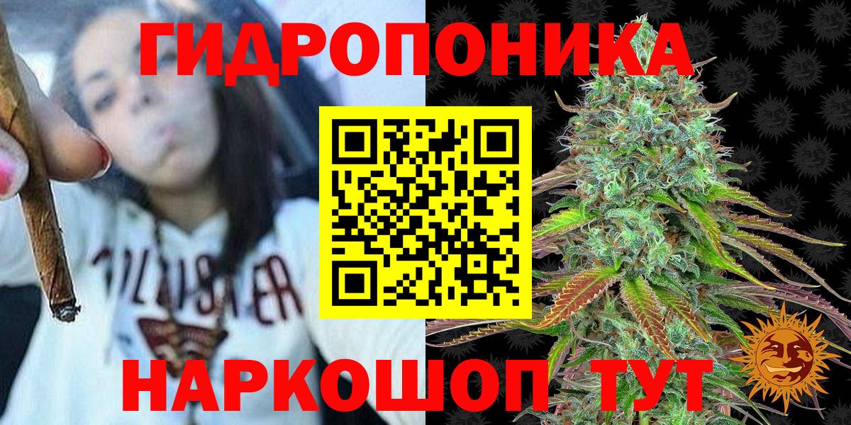 Конопля планчик  Бошки марихуана индика  Конопля марихуана  Камышлов  Вход с VPN 